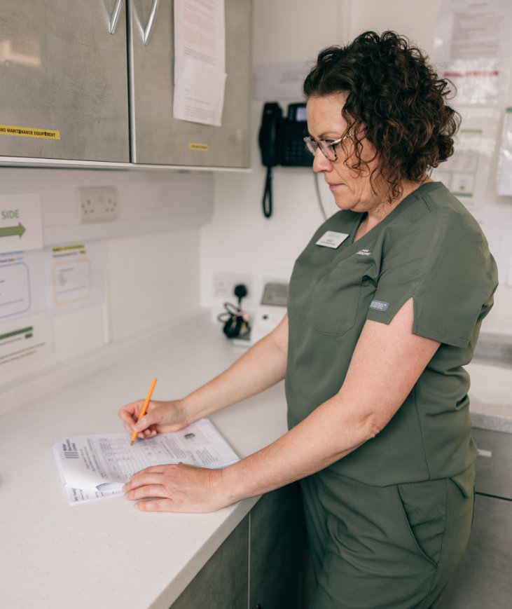 Why are dental X-rays important?