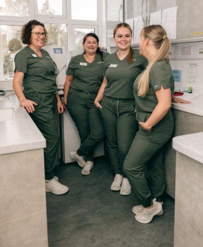 Meet the team who help our clinicians improve your smile.