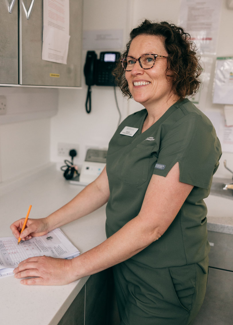 Smile more with our dental plans